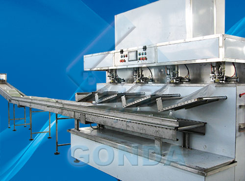 GN-ZJ4軟包灌裝線(xiàn)